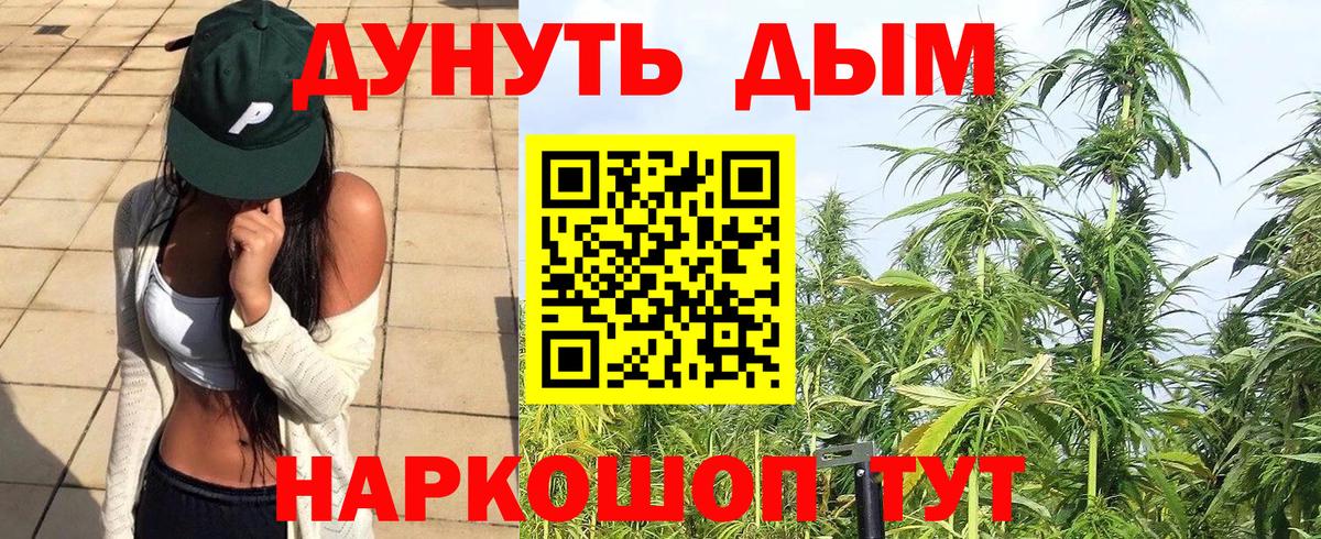 Конопля семена Отрадное